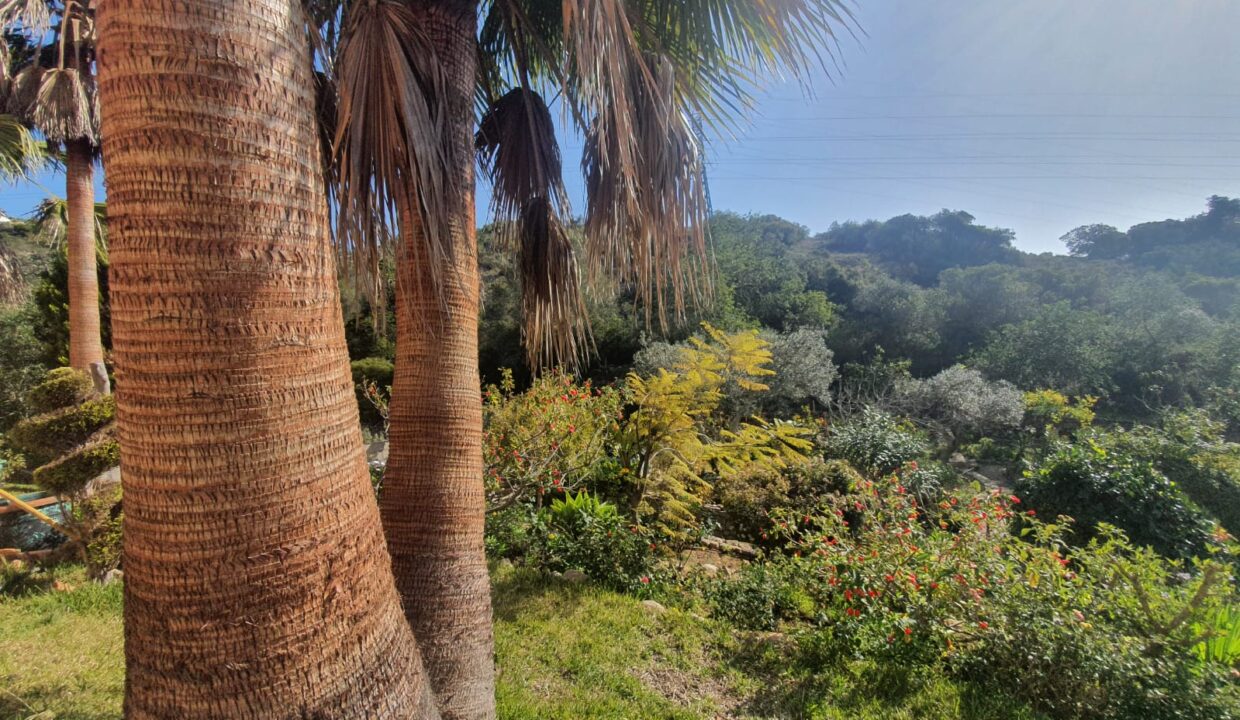 02717231-4fe3-4bd4-896b-92b8677ae446