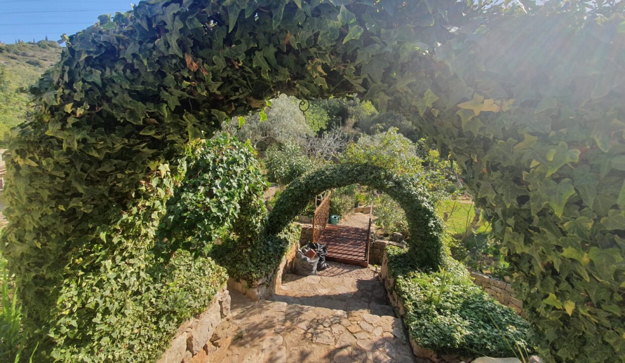 0d724fd0-3126-4d1e-b0aa-4f85811a6171