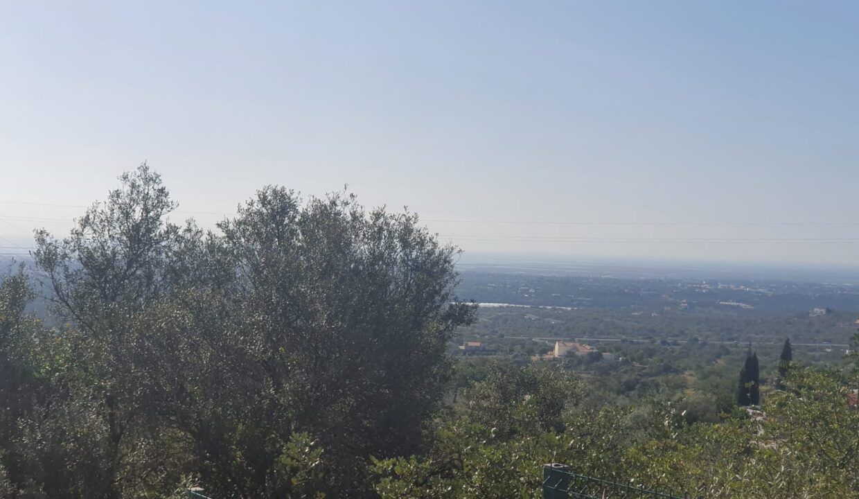 3c474351-ebbe-4be2-9a9c-4a6742c80a04