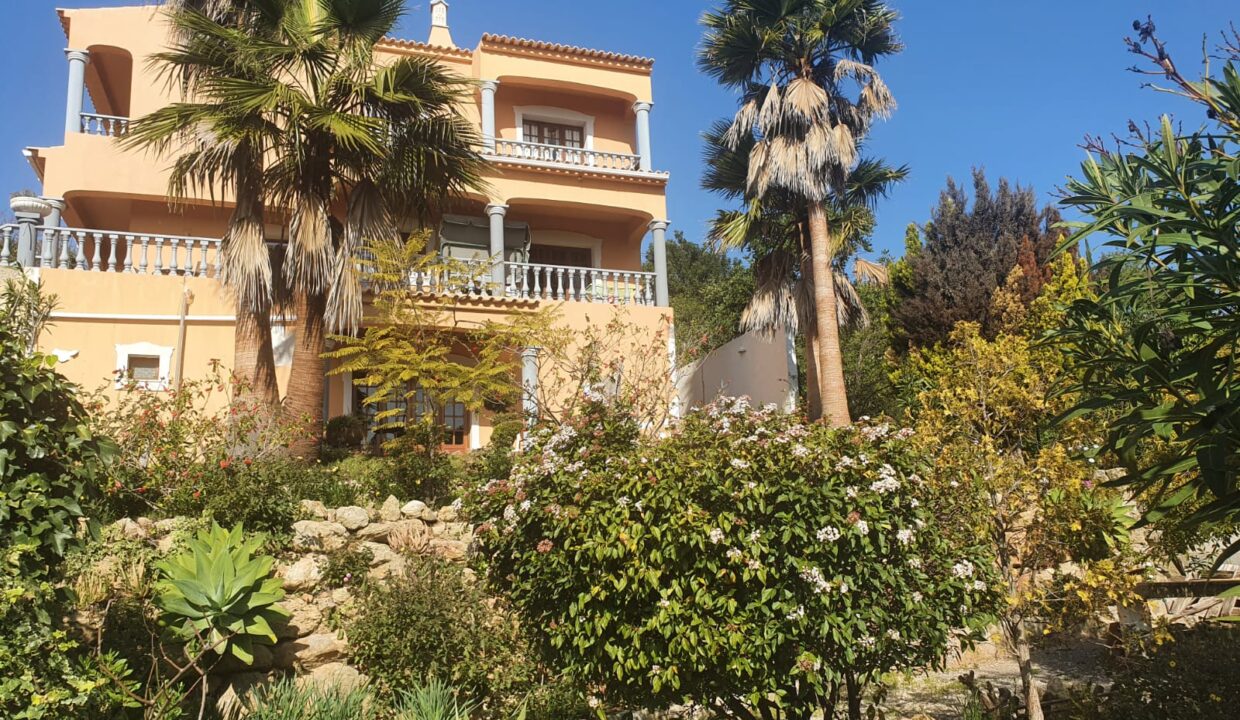 5a44398f-f1c3-4265-a328-eed264ce04fc