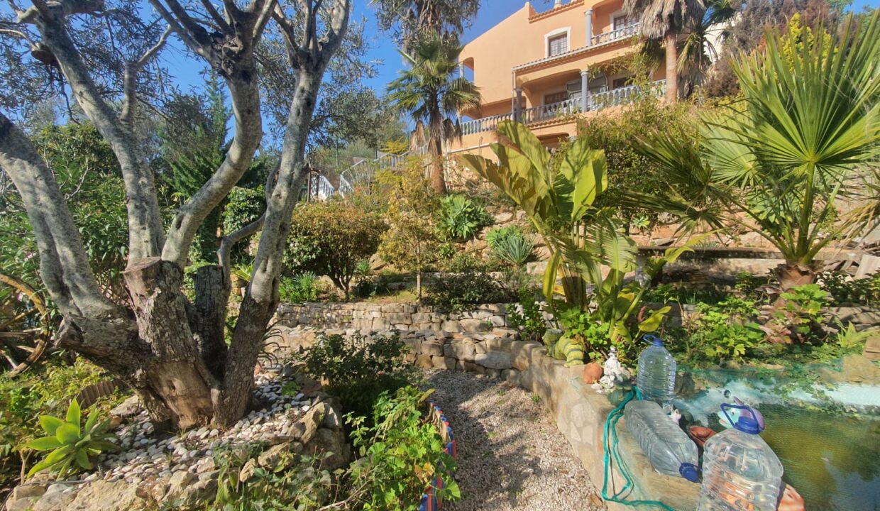 65323c61-9b34-45b1-9d66-53b633a4b2cf