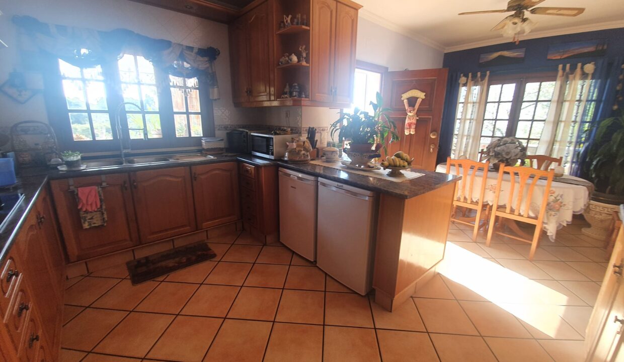 b447e82d-0207-4f6b-b3ad-960b9d6f796c