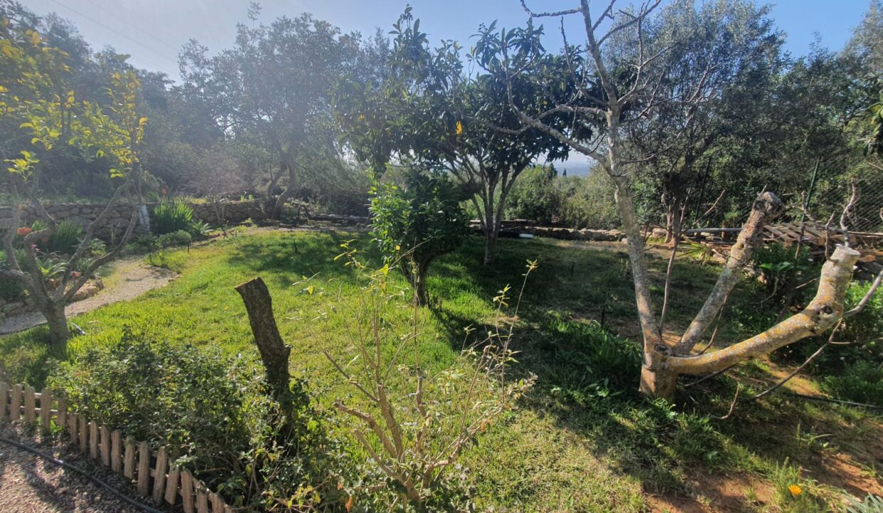 c9a982de-64fe-474d-9d07-789354f4456a