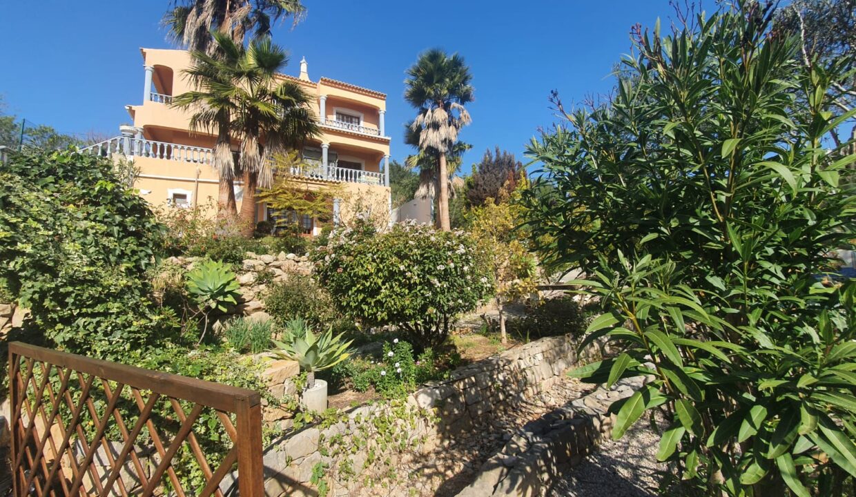 ccd15970-98ad-4cae-8f76-1f1074ab00f9