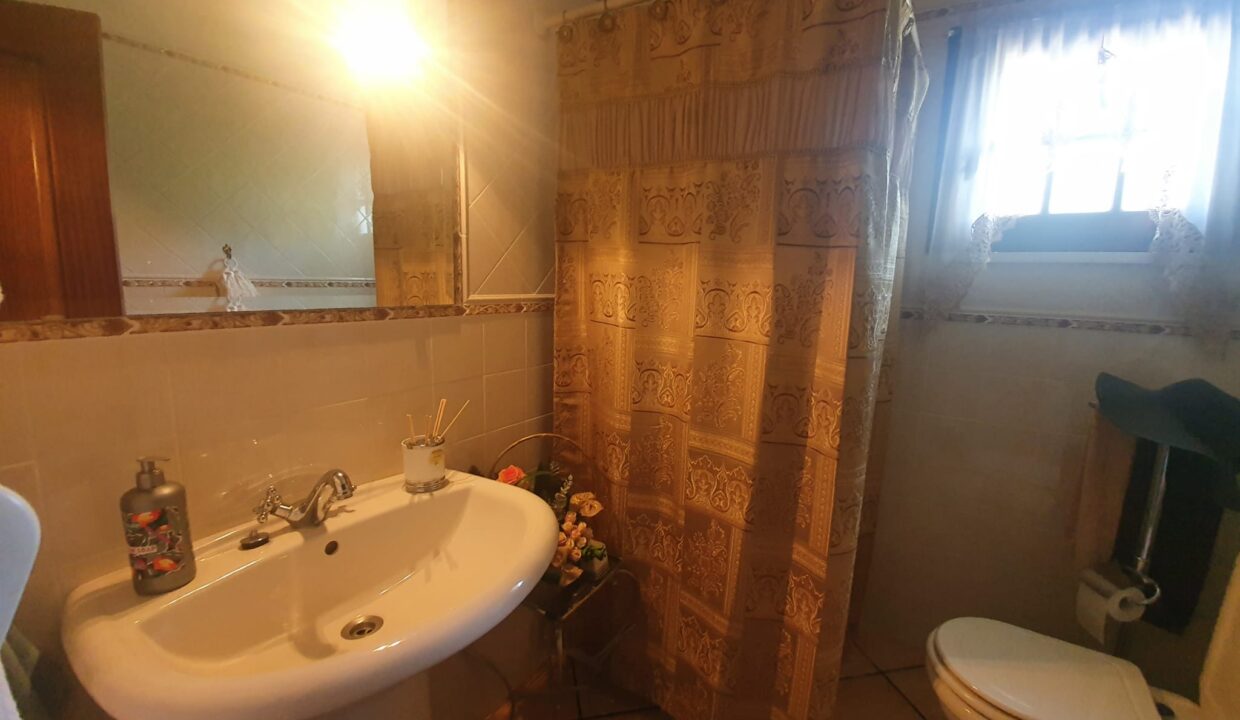 d92a298c-bec9-410f-ae5a-341b88ac1a5b