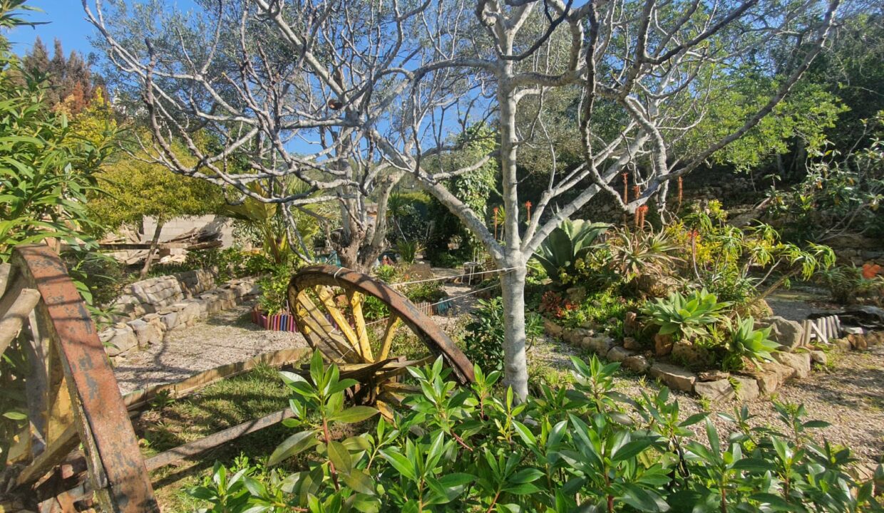 ed34cc81-67c0-48c5-bbdf-24df456f3a0a