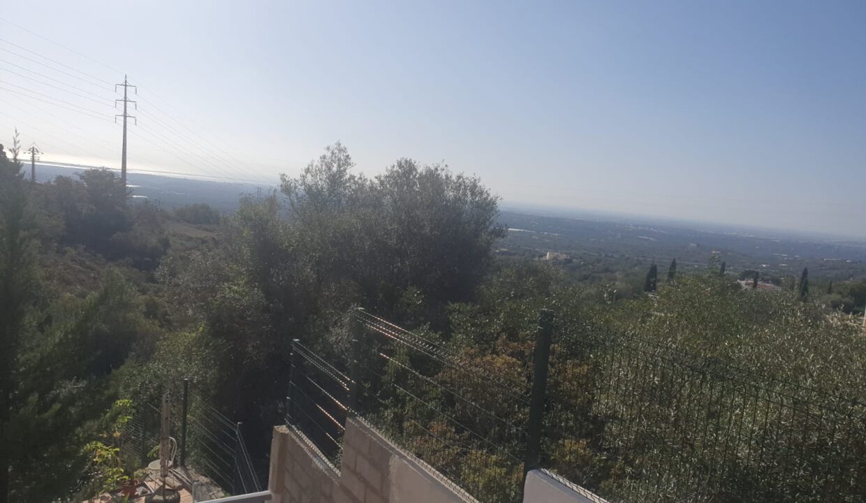 fcdc8727-1c00-45ff-aee4-a8930c732902