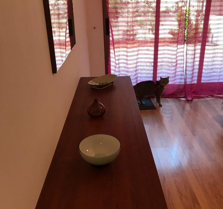 WhatsApp Image 2023-06-07 at 12.01.34 (1)