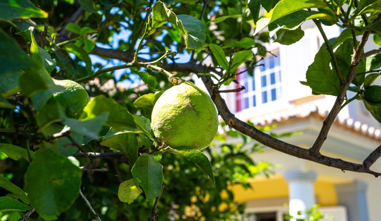 WhatsApp Image 2025-03-24 at 08.58.15