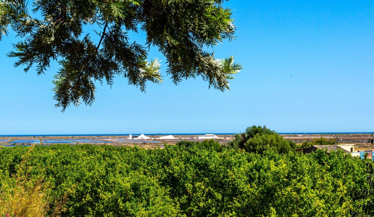 WhatsApp Image 2025-03-24 at 08.58.19 (6)