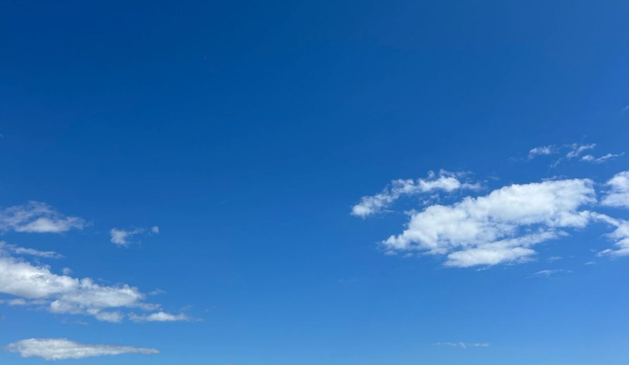 WhatsApp Image 2025-03-28 at 12.44.30 (4)