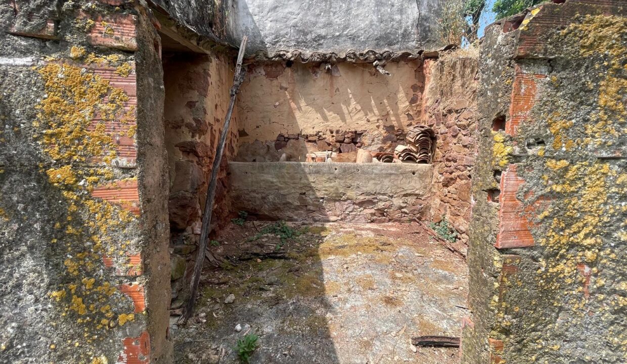 WhatsApp Image 2025-08-14 at 16.43.06 (10)