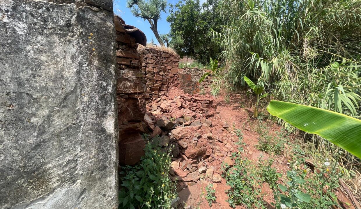 WhatsApp Image 2025-08-14 at 16.43.06 (11)