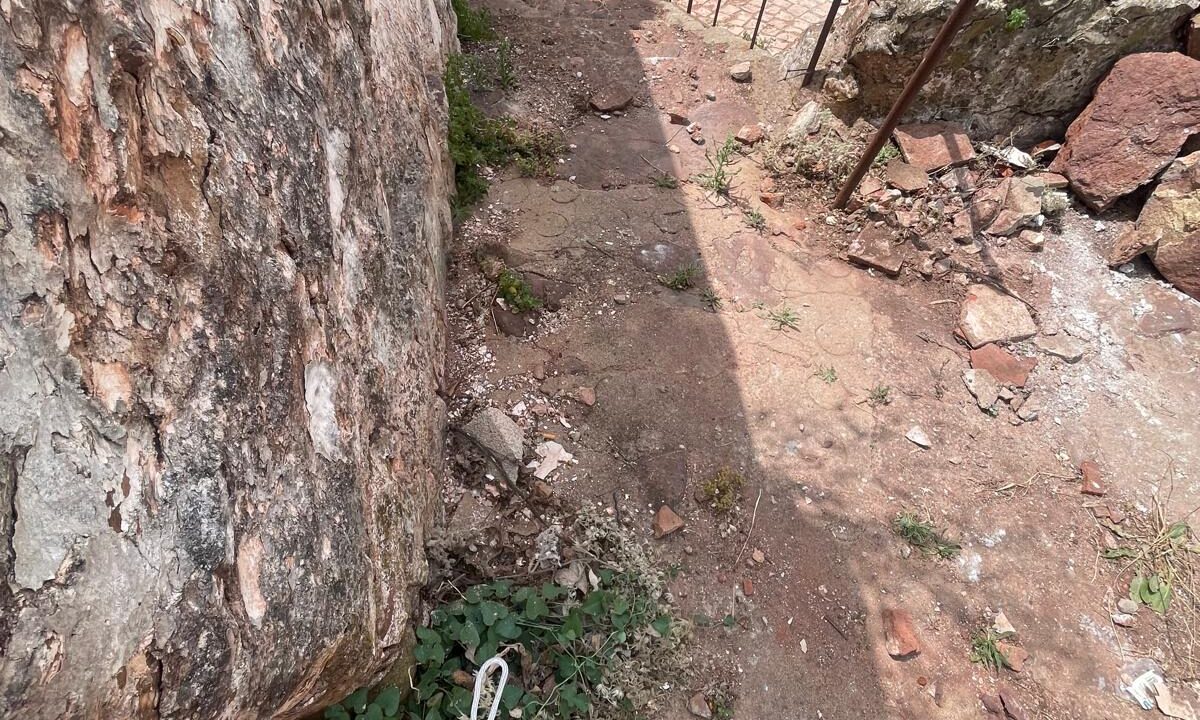 WhatsApp Image 2025-08-14 at 16.43.06 (2)