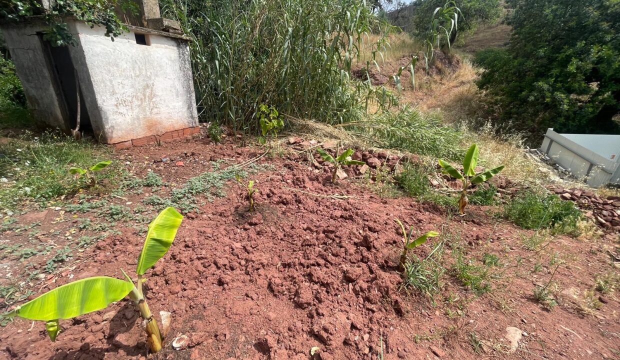 WhatsApp Image 2025-08-14 at 16.43.06 (5)