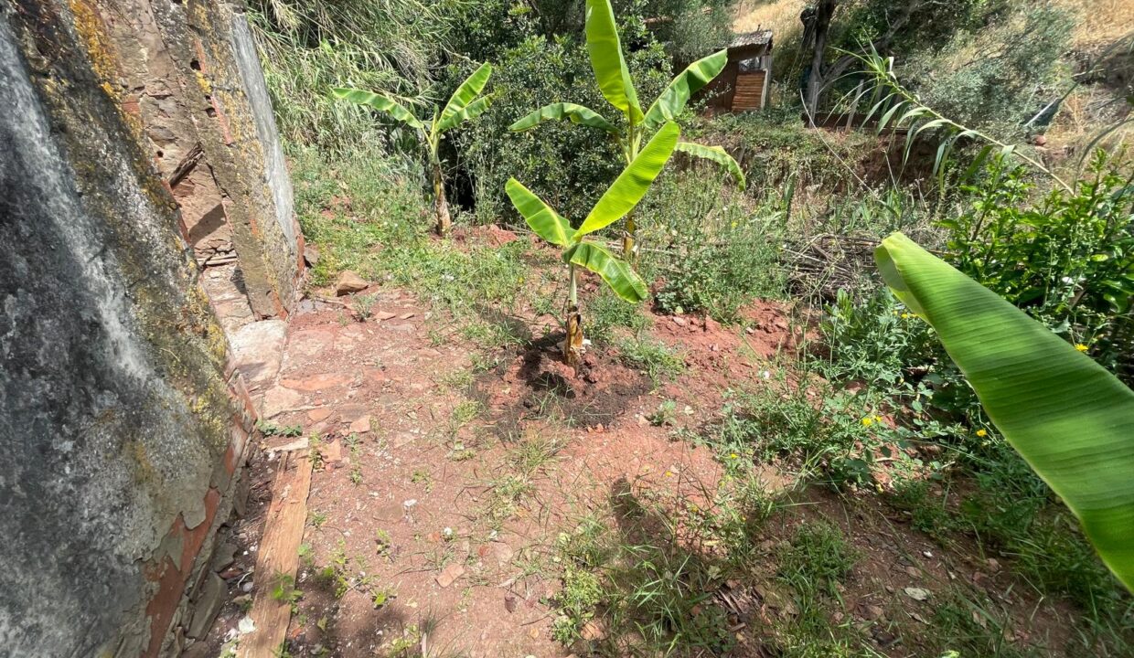 WhatsApp Image 2025-08-14 at 16.43.06 (9)