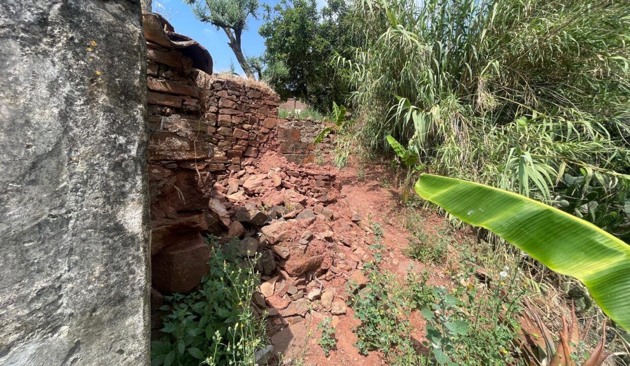 WhatsApp Image 2025-08-14 at 16.43.07