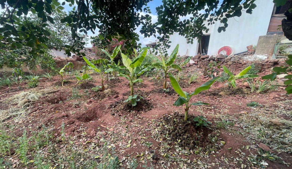 WhatsApp Image 2025-08-14 at 16.43.07 (2)