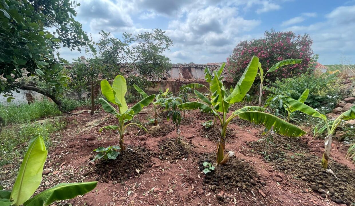 WhatsApp Image 2025-08-14 at 16.43.07 (3)