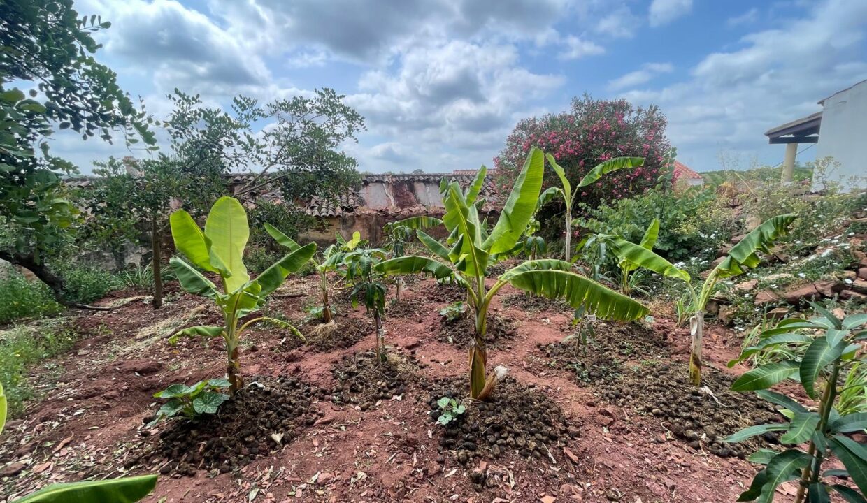 WhatsApp Image 2025-08-14 at 16.43.07 (4)