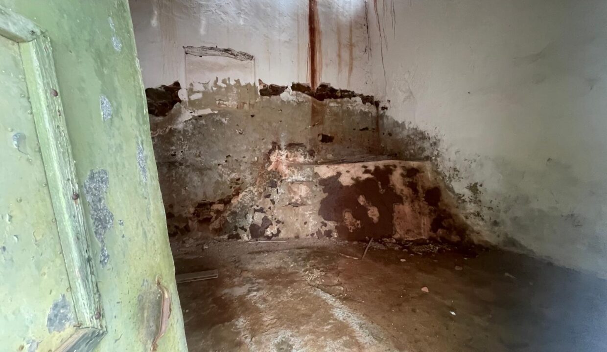 WhatsApp Image 2025-08-14 at 16.43.07 (8)