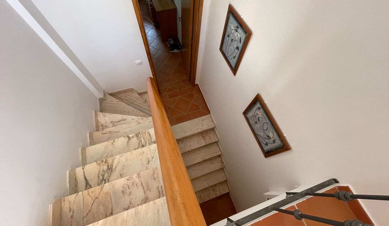 WhatsApp Image 2023-08-11 at 13.26.30