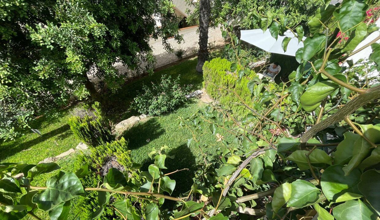 WhatsApp Image 2023-08-11 at 13.26.32