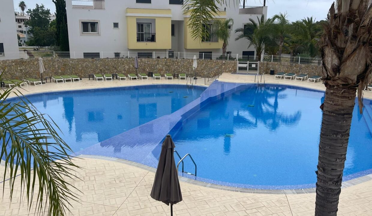 WhatsApp Image 2024-07-24 at 15.11.59 (1)